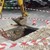 ВиК - Русе: Забавянето на ремонта на улица "Цар Калоян" е заради смесената настилка