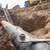 Мъж загина при подмяна на водопроводна тръба в Шуменско