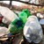 Учени създадоха рециклируема пластмаса, която не е произведена от суров петрол