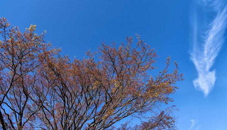 Температурите днес ще стигнат до 15 градуса