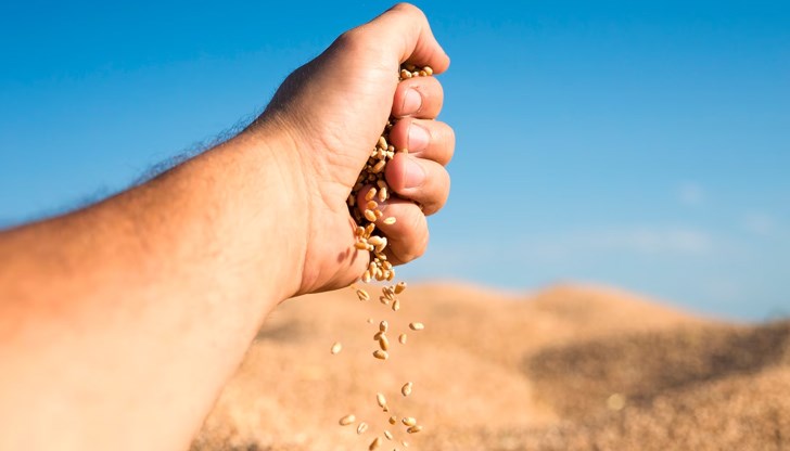 Загубите за производителите за миналата година са за над 800 милиона лева, подчерта Коев Загубите за производителите за миналата година са за над 800 милиона лева, подчерта Коев