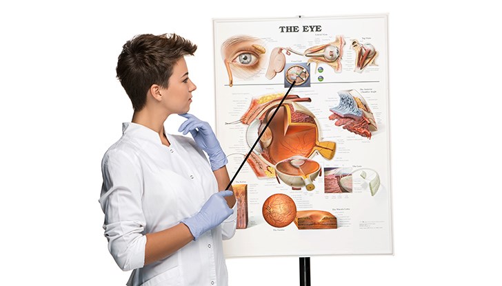 Все още имаме части на тялото, които не изпълняват никакви съществени функции, споделят учени