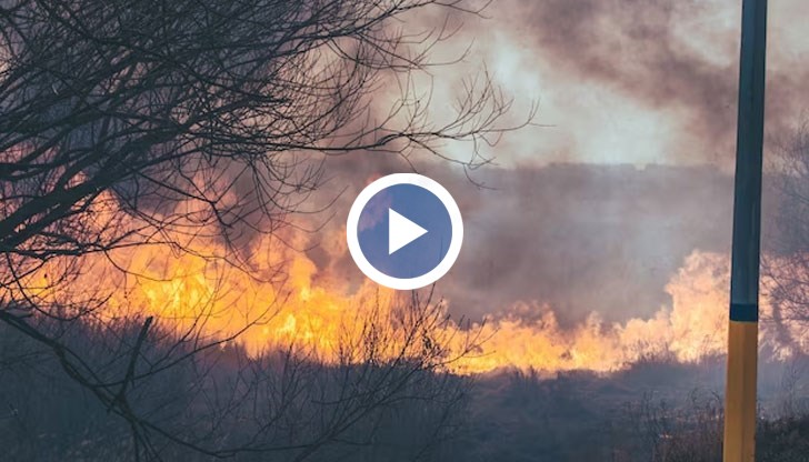 Според властите пожарите са били предизвикани от престъпници