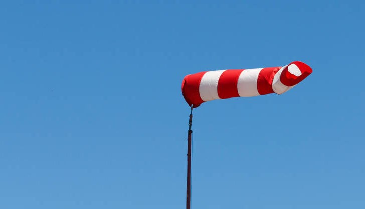 Има сигнал за паднало дърво на улица “Борисова“ Има сигнал за паднало дърво на улица “Борисова“