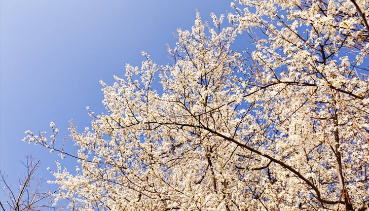 В събота започва повишаване на температурите, каза синоптикът Петър Янков В събота започва повишаване на температурите, каза синоптикът Петър Янков