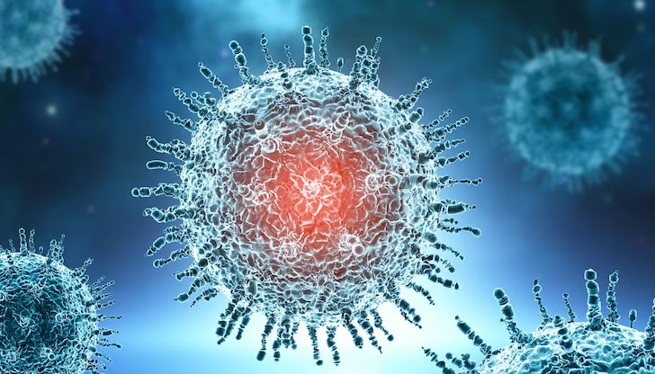 Делът на положителните тестове в страната е 5,79% Делът на положителните тестове в страната е 5,79%