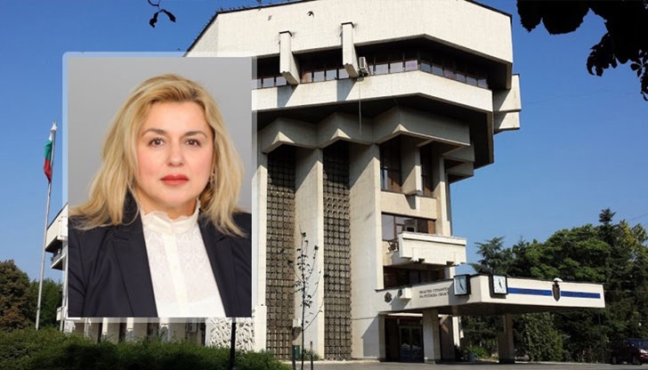 Тя има дългогодишен опит като счетоводител и вещо лице в Окръжния съд Тя има дългогодишен опит като счетоводител и вещо лице в Окръжния съд