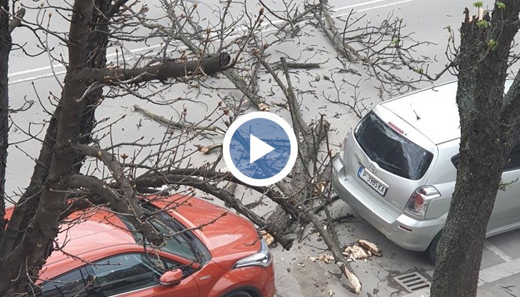 Вятър със скорост близо 90 километра в час беше измерен в Русе тази сутрин