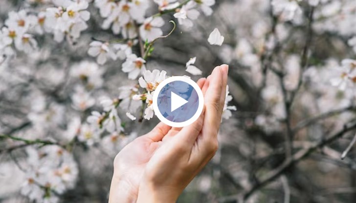 Преди това не се е водела статистика