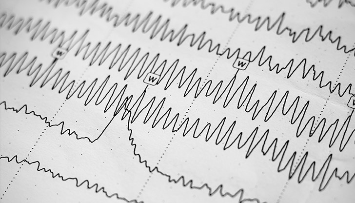 По първоначални данни няма пострадали По първоначални данни няма пострадали