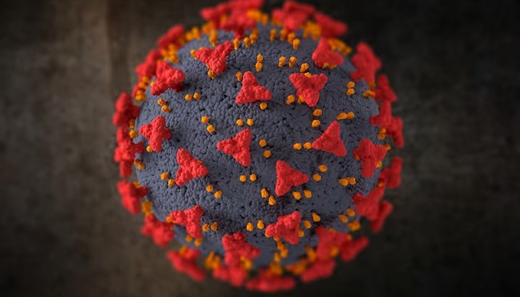 Делът на положителните резултати в страната е 4,28 процента Делът на положителните резултати в страната е 4,28 процента