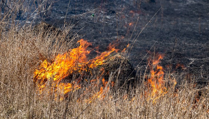 Запалванията са били в землищата на селата Тръстеник и Караманово