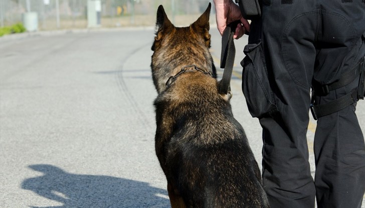 Екипи работят и в момента на терен със съдействието на съседни областни дирекции, и на подразделенията на Гранична полиция и жандармерията