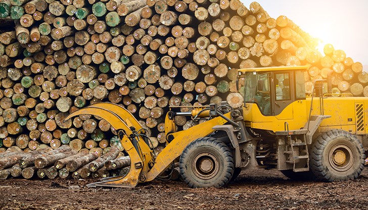 Последвалите санкции и забрани доведоха до голямо търсене на строителната дървесина