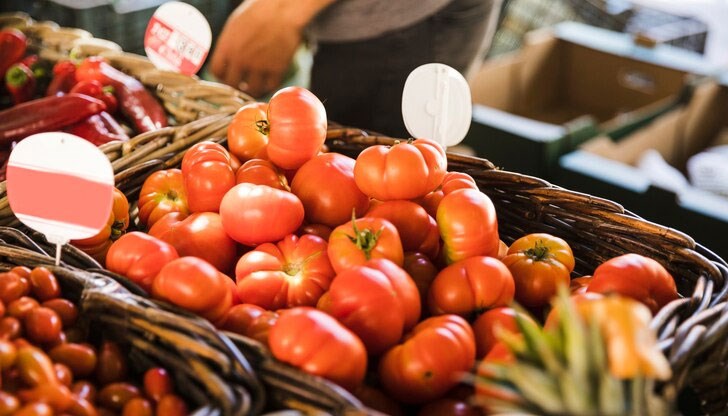 Производителите се надяват най-лошото време за тях да е отминало Производителите се надяват най-лошото време за тях да е отминало