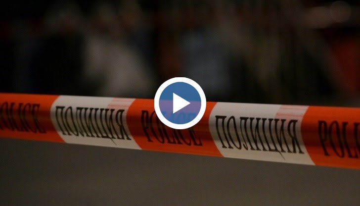 Десет кучета са нападнали и разкъсали 39-годишна жена тази сутрин