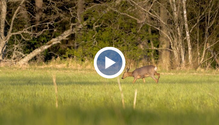 За проблема алармират зърнопроизводители от Североизточна България