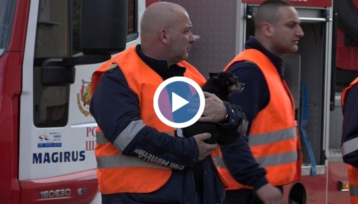 Домашния любимец е бил изведен от апартамента, а спешните медици са му оказали първа помощ