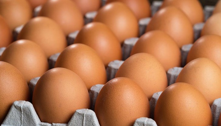 Според Съюза на птицевъдите в България не се очакват поскъпване и недостиг на яйцата около Великден