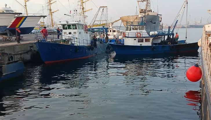 Изпълнителната агенция по рибарство и аквакултури не е уведомена за заповед, която да забранява улова на акула в северната ни съседка