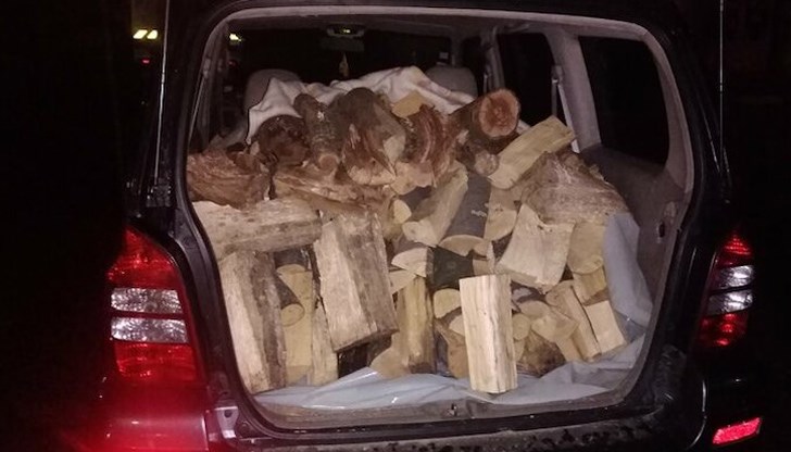 РДГ София са съставили 100 акта за нарушения по Закона за горите