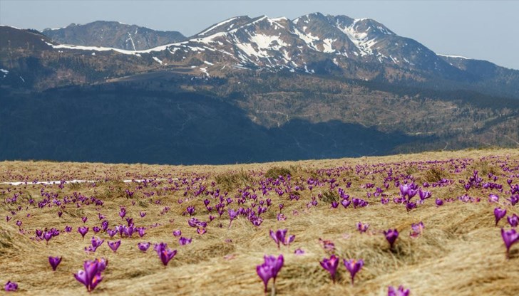 В Русе ще преобладава слънчево време с максимална температура 11 градуса
