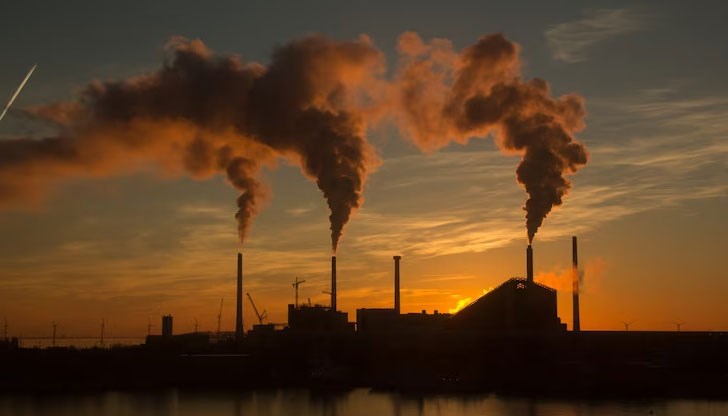 Държавите от Европейския съюз трябва да разширят екосистемите, които абсорбират въглеродния диоксид