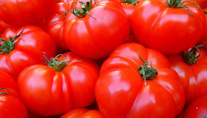 Тази година ситуацията с домати българско производство е още по-тежка