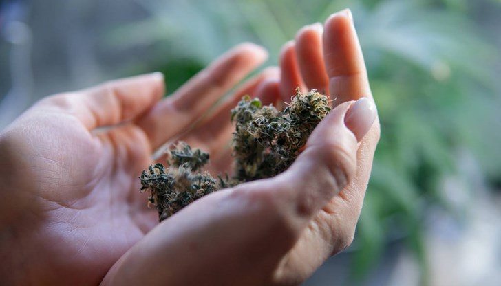 Момичето доброволно предало наркотика на полицаите в присъствието на майка си