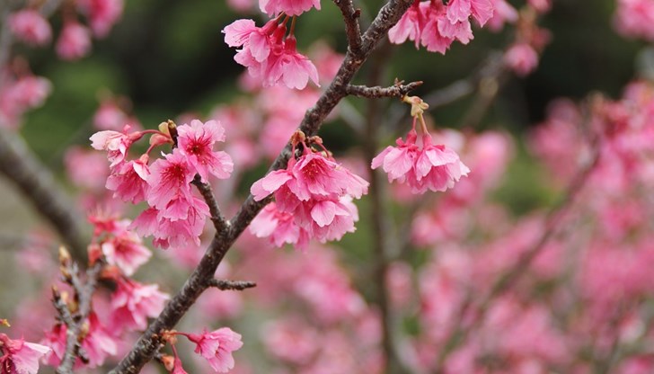 Топлото време тази седмица ще продължи и се дължи на антициклон от югозапад Топлото време тази седмица ще продължи и се дължи на антициклон от югозапад