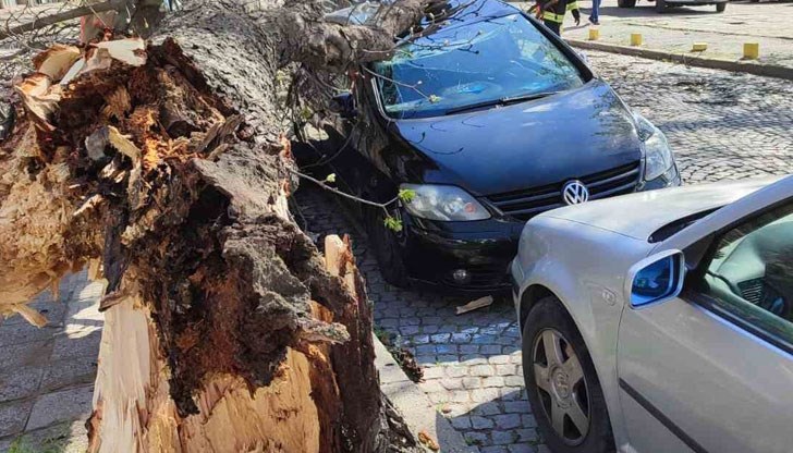 Съпругата на пострадалия мъж се отказва да съди Общината Съпругата на пострадалия мъж се отказва да съди Общината