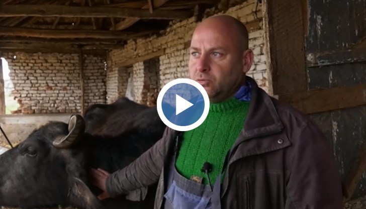 Пасища няма, колегите изнемогват, коментира Методи Лаков