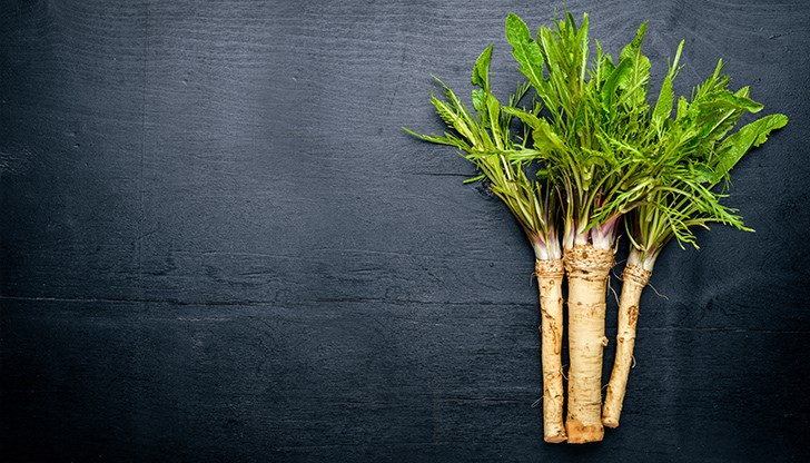 Растението има висока ефективност при нехронични синузити