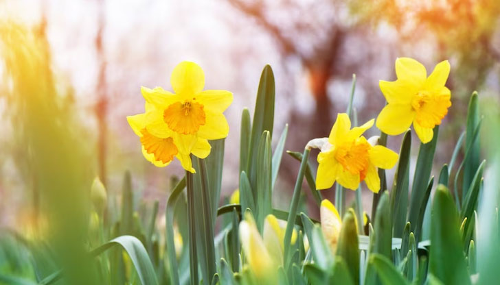 Преди това обаче ще трябва да преживеем студа и валежите