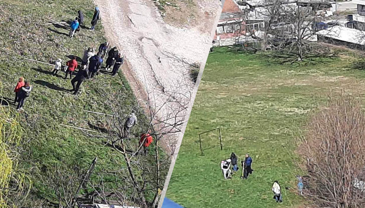 В полезната инициатива се включиха и децаЗапочна залесяването на млади