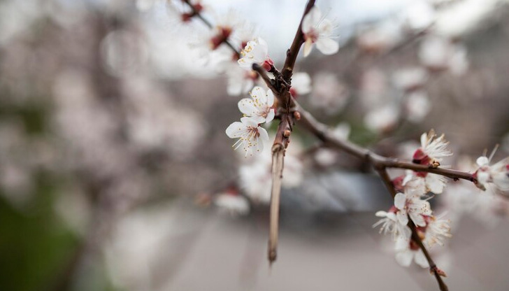 В последния ден от следващата седмица има потенциал за гръмотевични