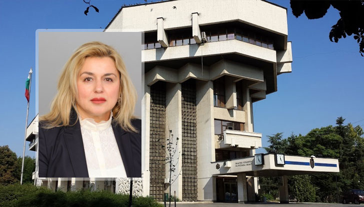 Тя има дългогодишен опит като счетоводител и вещо лице в