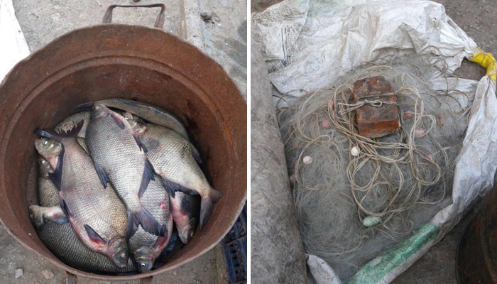 Уредите са извадени и иззети за унищожаване, а рибата е