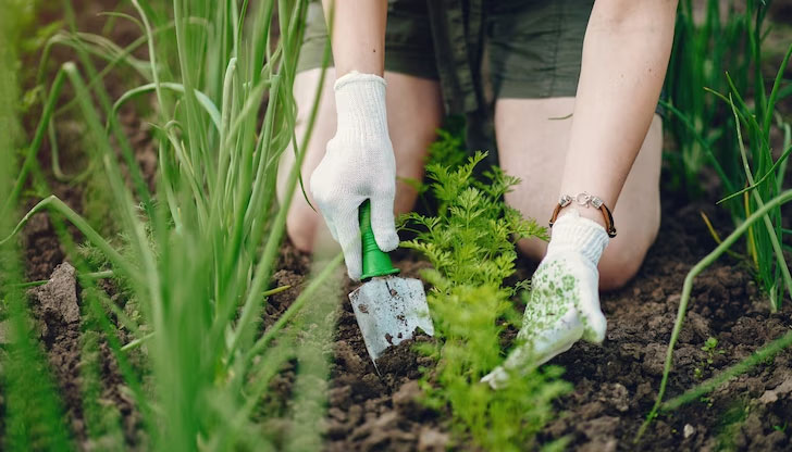 Март бележи началото на интензивната работа в градинатаВажно е да