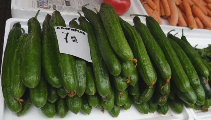 Според търговците ДДС-то на храните трябва да падне на 9%Заради