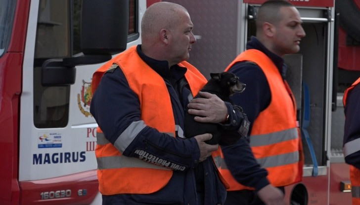 Домашния любимец е бил изведен от апартамента, а спешните медици