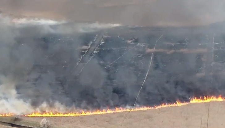 Цонка Христова, директор РИОСВ – Русе уточни, че най-вероятно пожарите