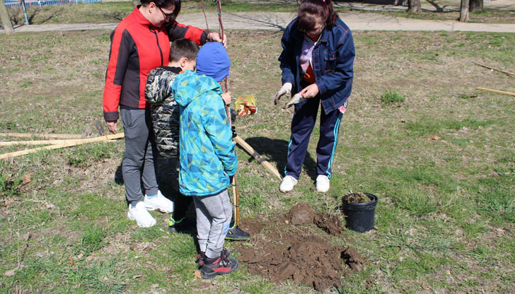 Днес русенци посадиха дръвчета в квартал “Дружба 1Първата от двете