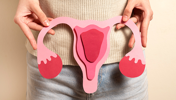 За изследователската дейност са били използвани данните от 21 267