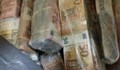 Митничари откриха недекларирана валута за над половин милион лева на ГКПП „Дунав мост“ 2