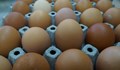 Защо яйцата в България станаха "златни"?