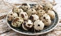 Пъдпъдъчите яйца заменят кокошите за Великден