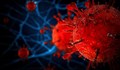 Два нови случая на коронавирус в Русе