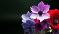 31578895f75d47a8baa6f8be4beab1a6 https://netnews.bg/wp-content/uploads/2023/04/d0b1d0bbd0b8d0b7d0be-2-d0bcd0b8d0bbd0b8d0bed0bdd0b0-d180d183d0bcd18ad0bdd186d0b8-d0bfd180d0b0d0b7d0bdd183d0b2d0b0d182-d0b8d0bcd0b5d0bd.jpg