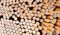 Разкриха нелегална фабрика за производство на цигари в Севлиево